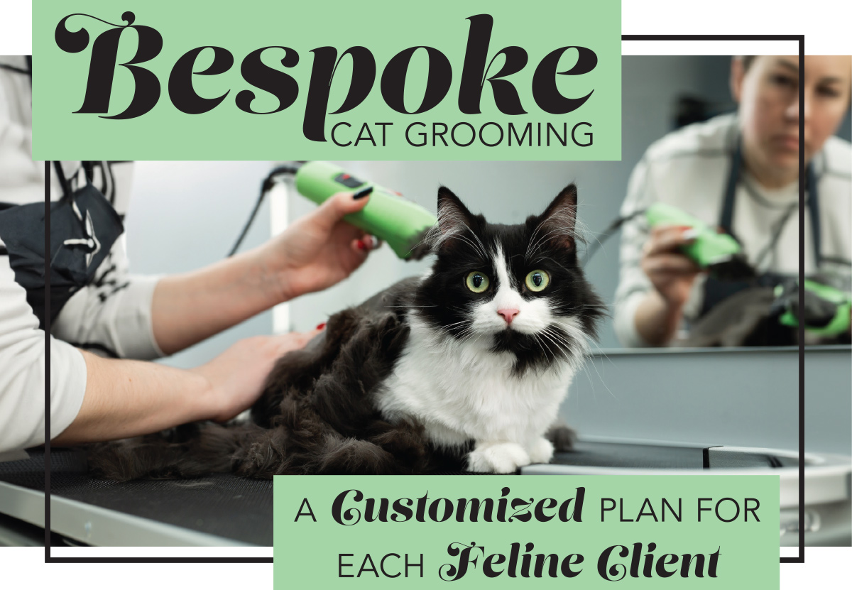 Bespoke Cat Grooming: A Customized Plan for Each Feline Client