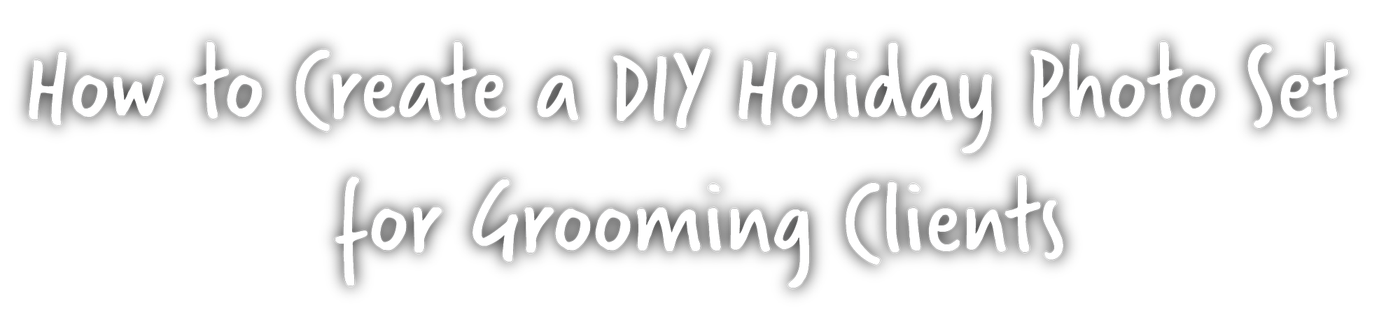 How to create a DIY holiday photo set for Grooming Clients