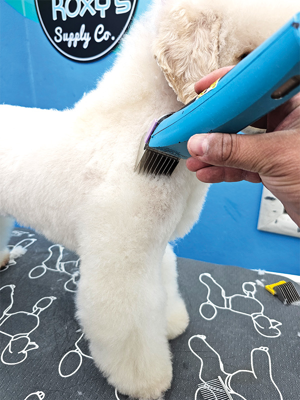 A hand using clippers to trim the fur on the upper arm of a white dog 