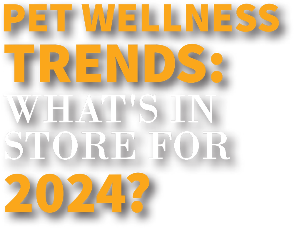 Pet Wellness Trends: What's in Store for 2024? typography