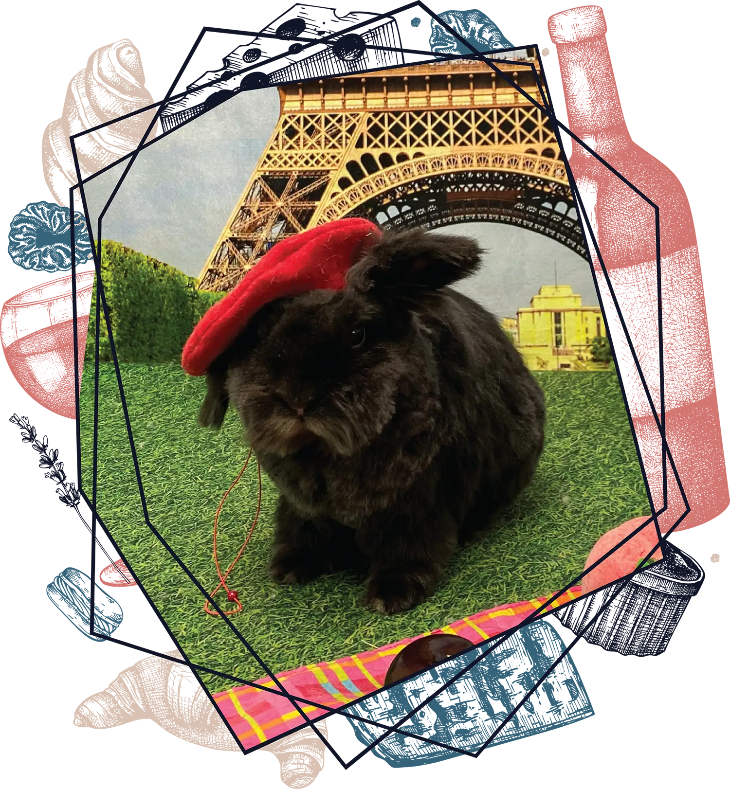 black bunny on green grass with red beret on in front of eiffel tower