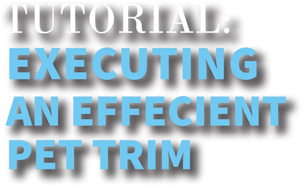 Tutorial: Executing an Efficient Pet Trim typography