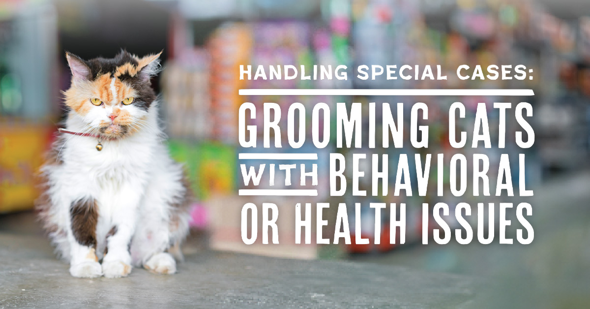 How Traumatic is Grooming for a Cat: Uncovering Hidden Stress Factors