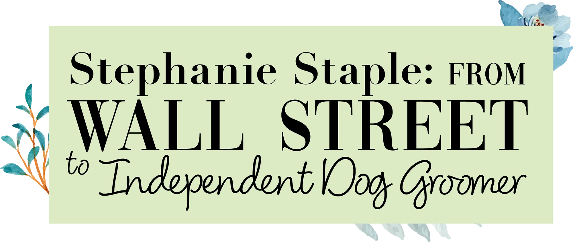 Stephanie Staple: From Wall Street to Independent Dog Groomer title