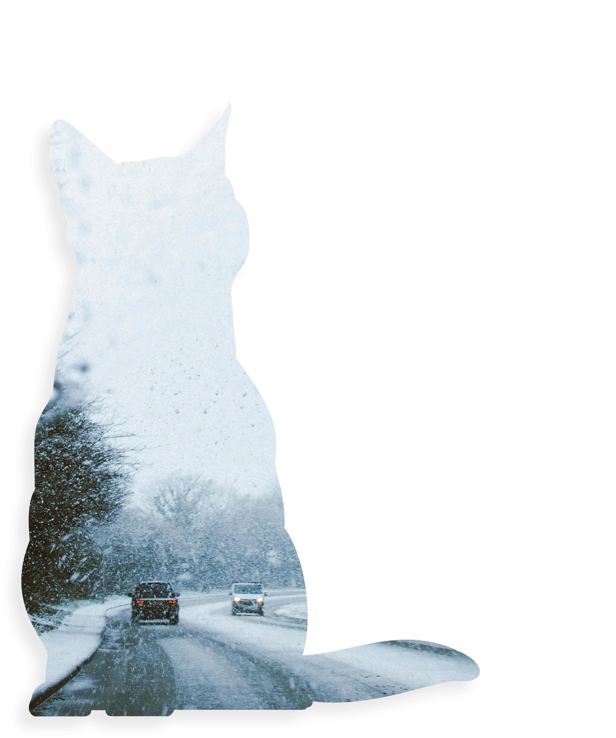 The Unexpected Similarities of Grooming Cats and Driving in Snow typography in white beside a masked image of a cat displaying the view of a snowy road