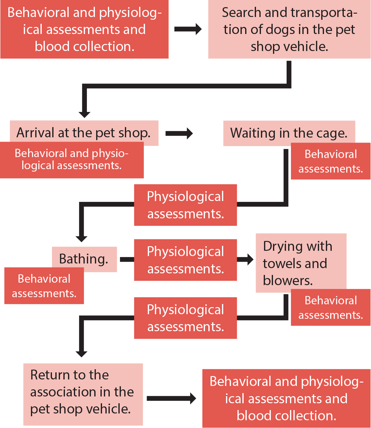 chart showing the steps for the behavioral and physiological assessments and blood collection cycle