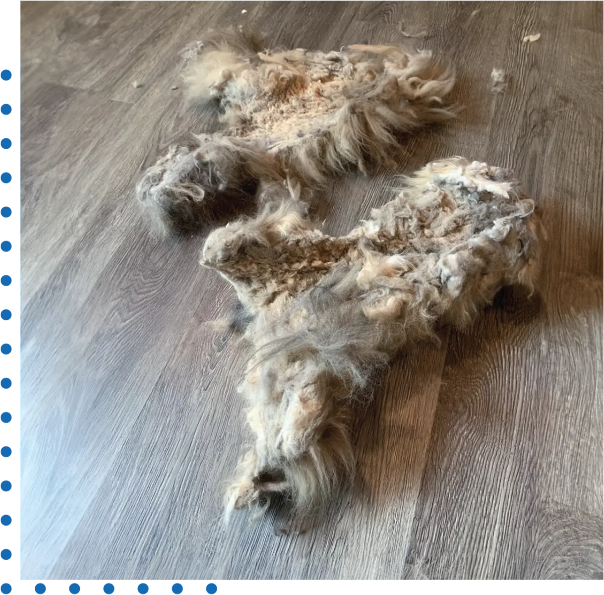 large pieces of matted cat hair on a salon floor