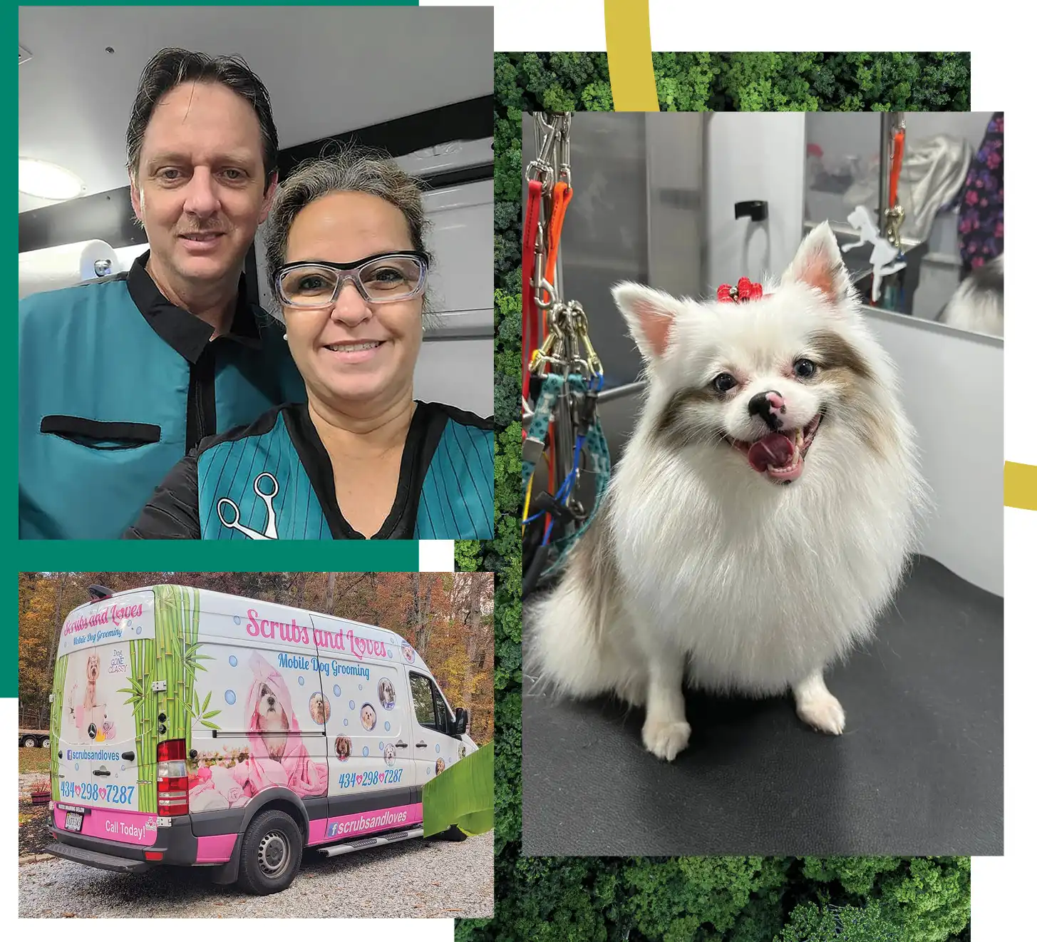 a photo collage of Tracy and her husband, her grooming van, and a freshly groomed dog