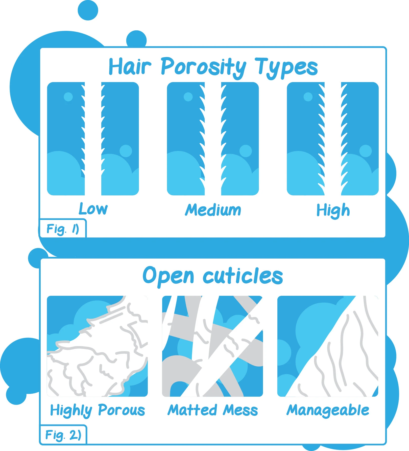 Figure 1: Hair Porosity Types / Figure 2: Open cuticles