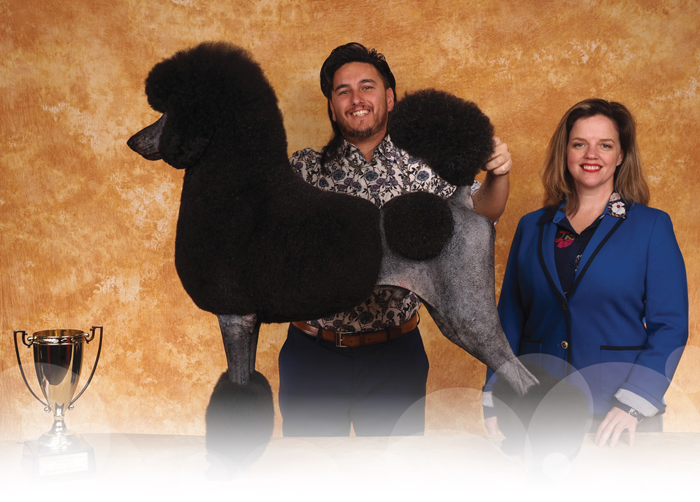 two people standing next to a groomed dog with a trophy