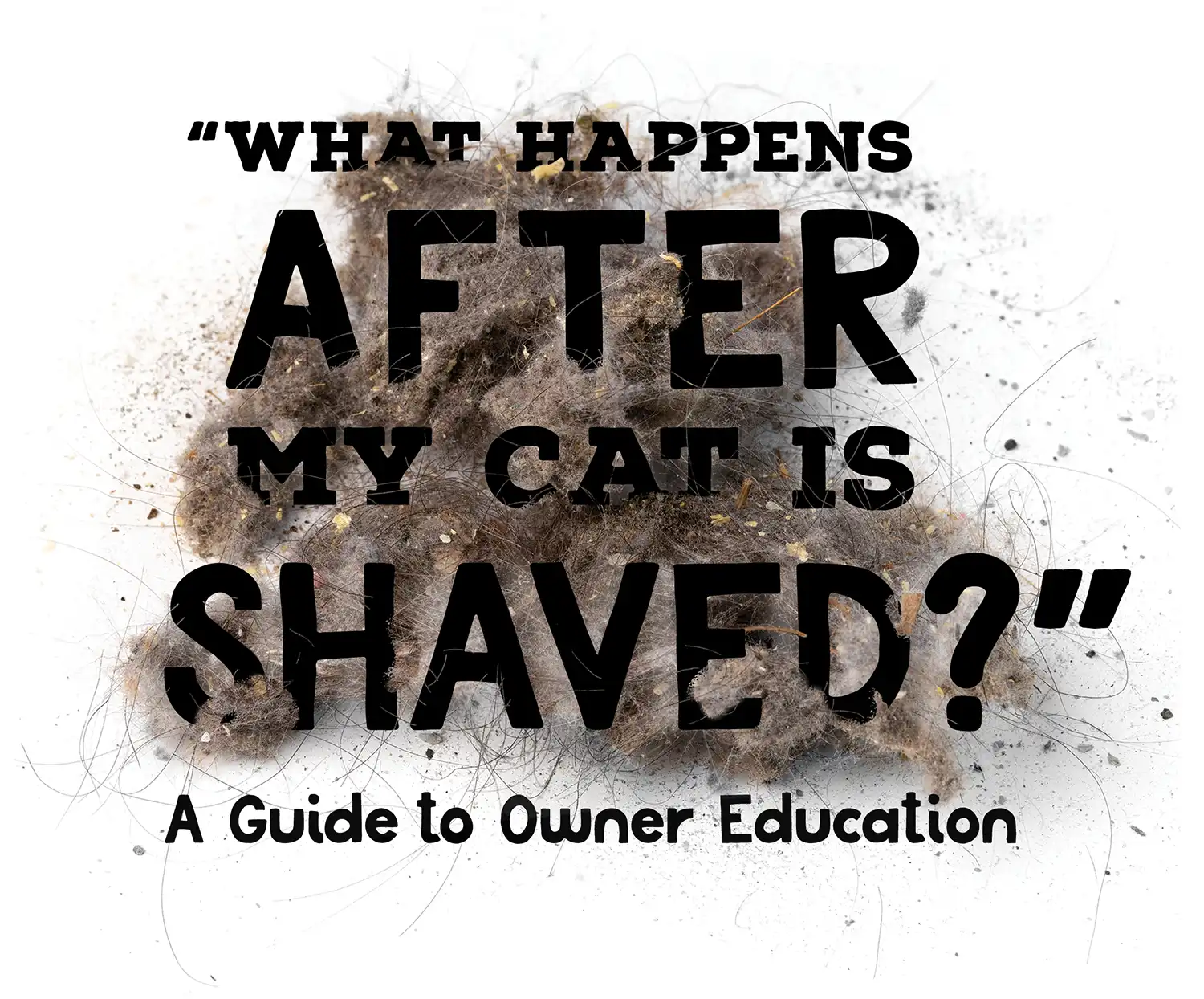 “What Happens After My Cat is Shaved?” A Guide to Owner Education typography with an image of cat fur