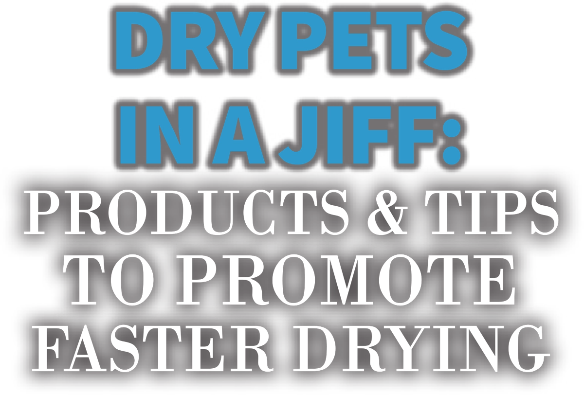 Dry Pets in a Jiff: Products & Tips to Promote Faster Drying typography