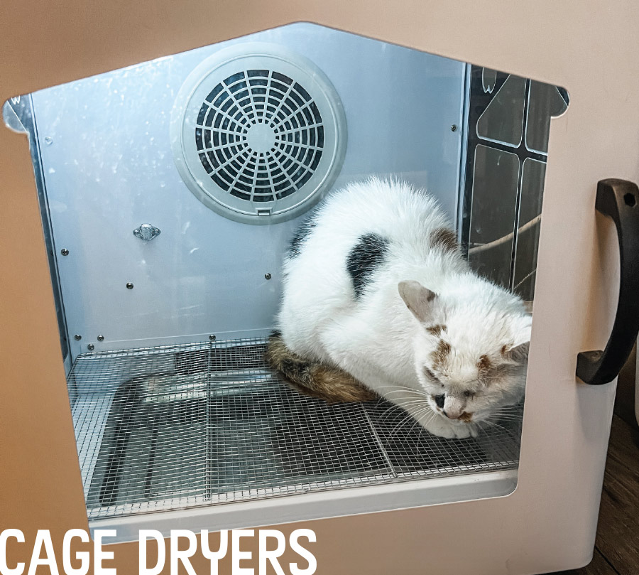 cat inside of cage dryer