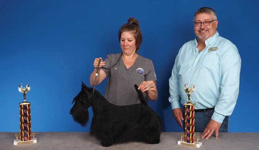 A man in a blue shirt and a woman holding a black Scottish Terrier by its collar, with two colorful trophies on the table, against a blue background.