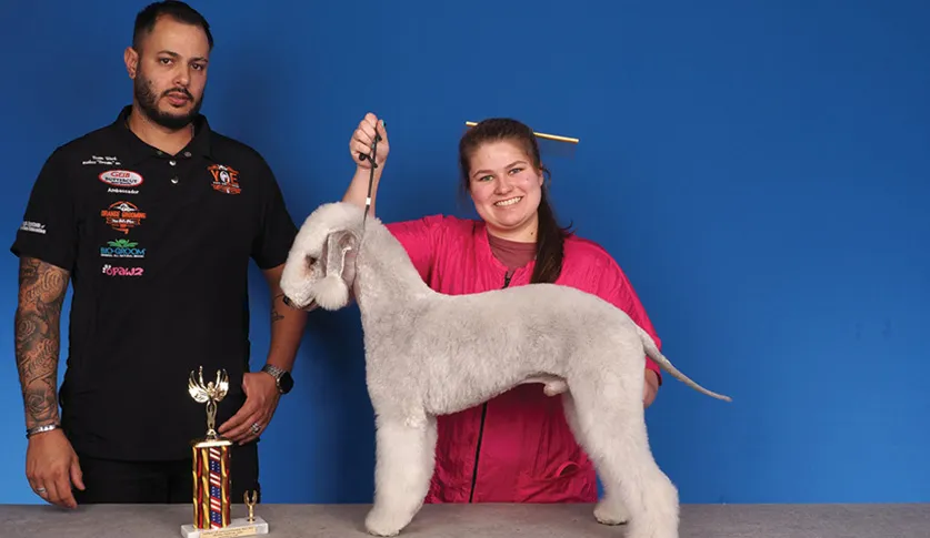 A man in a black shirt with embroidered patches standing next to a woman in a pink shirt holding a white Bedlington Terrier by its collar, with a colorful trophy on a table, against a blue background.