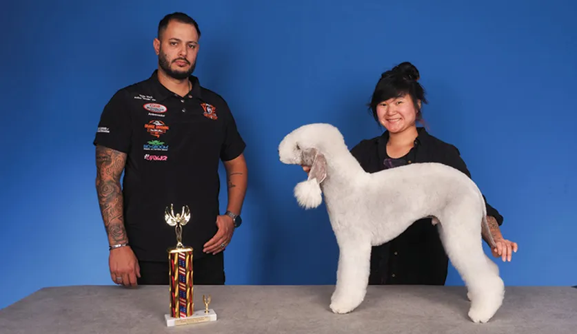 A man in a black shirt with embroidered patches standing next to a woman holding a white Bedlington Terrier by its collar, with a colorful trophy on a table, against a blue background.