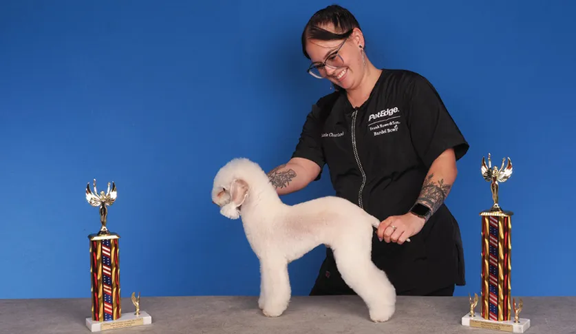 A smiling woman in a black uniform holding a small, light-colored Bedlington Terrier by its collar, with two colorful trophies on a table, against a blue background.