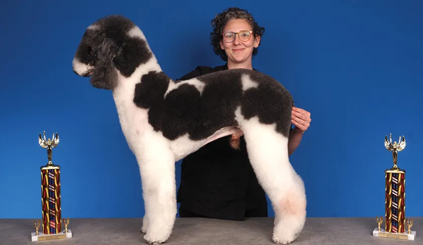 A smiling woman in glasses holding a large black and white Portuguese Water Dog, with two colorful trophies on a table, against a blue background.