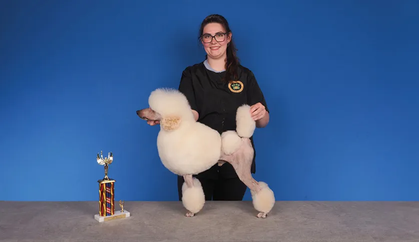 A woman with glasses holding a poodle with an elaborate fluffy white fur groom, with a colorful trophy on the table, against a blue background.