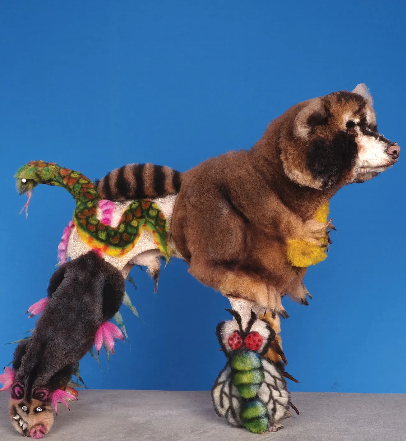 Side profile of a creatively groomed dog featuring intricate designs including a snake, insects, and a mix of colorful patterns, against a blue background.