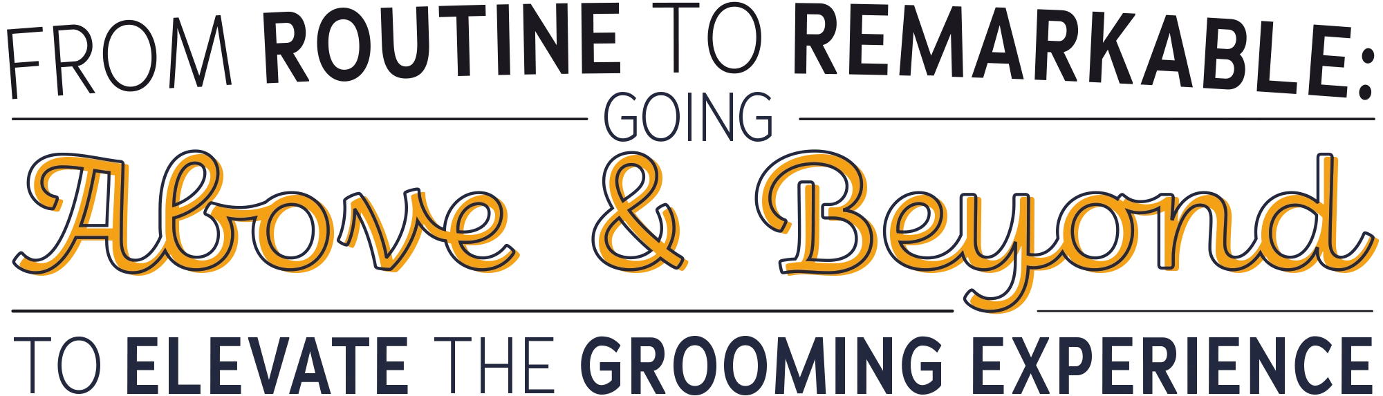 From Routine to Remarkable: Going Above & Beyond to Elevate the Grooming Experience