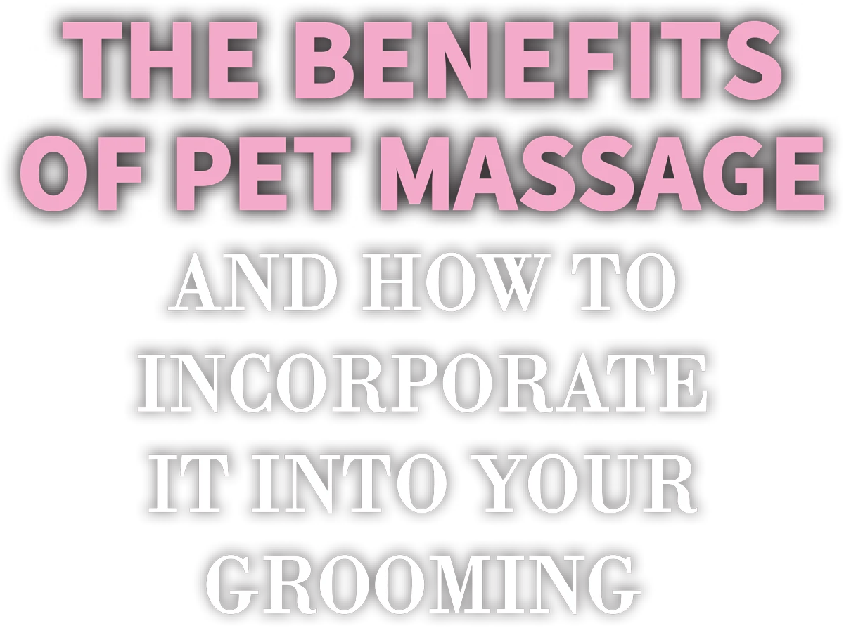 The Benefits of Pet Massage & How to Incorporate it into Your Grooming typography