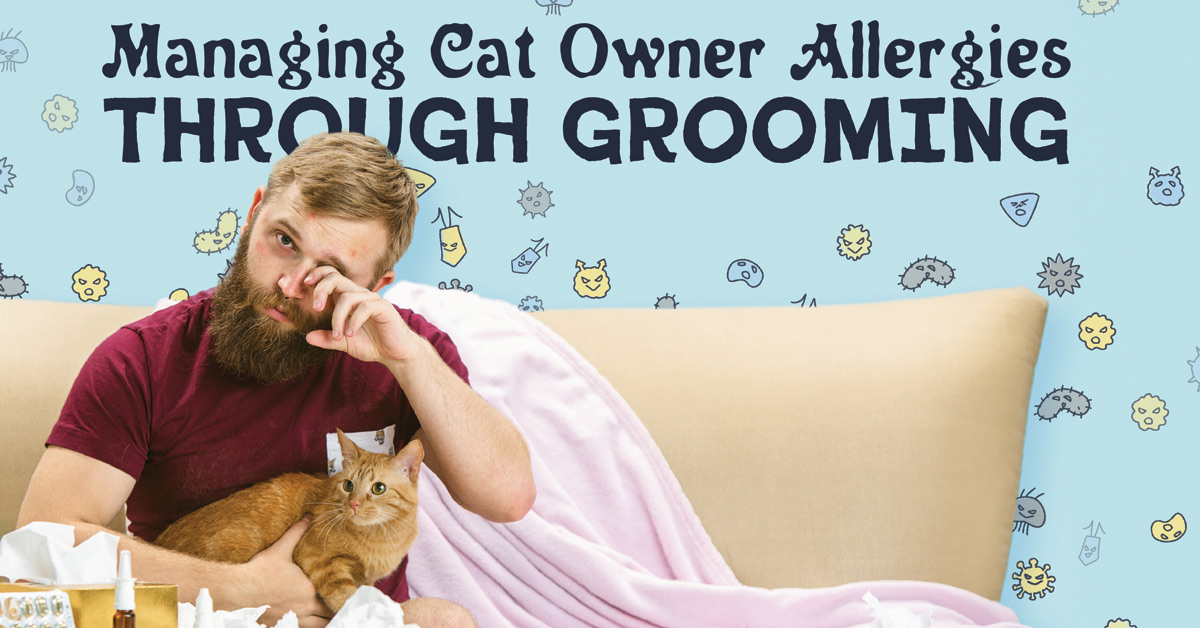 Photo inspiration: Visual Reference: Managing Cat Owner Allergies Through Grooming