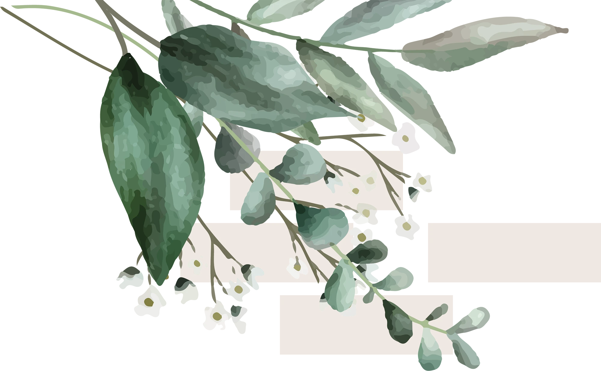 digital illustration of a plant