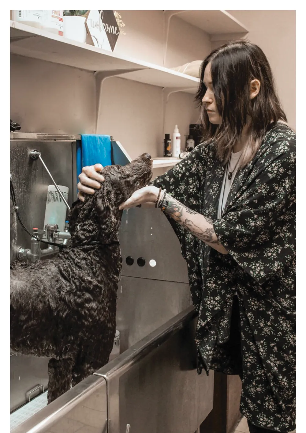 woman washing a dog inside a pet spa