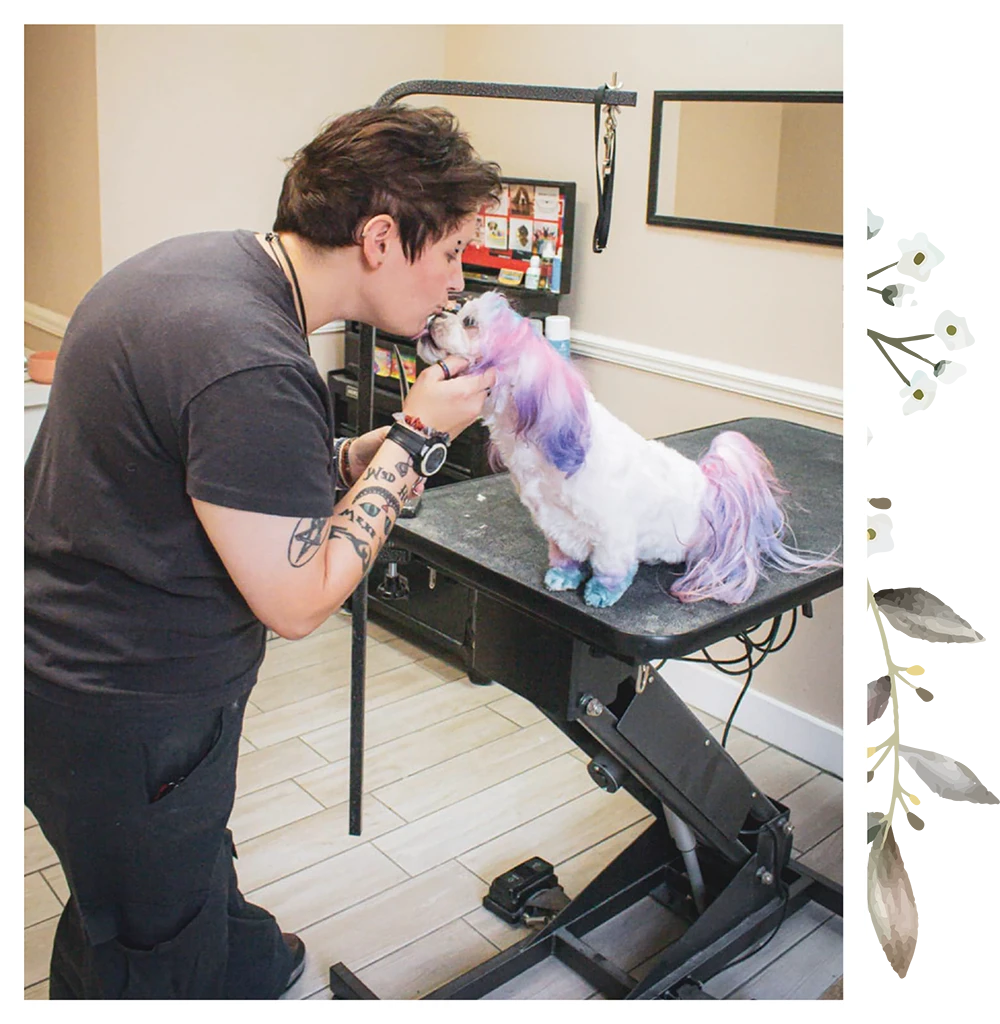 person kissing a dog with colored hair on a groomers table