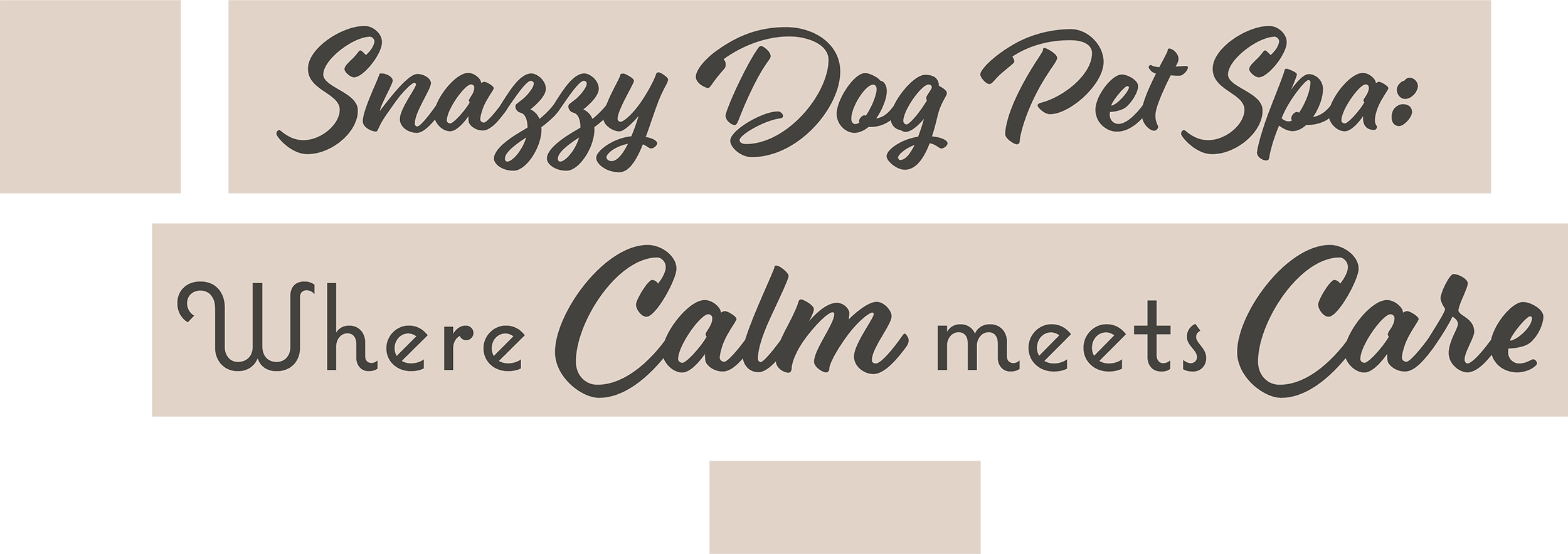 Snazzy Dog Pet Spa: Where Calm meets Care typography