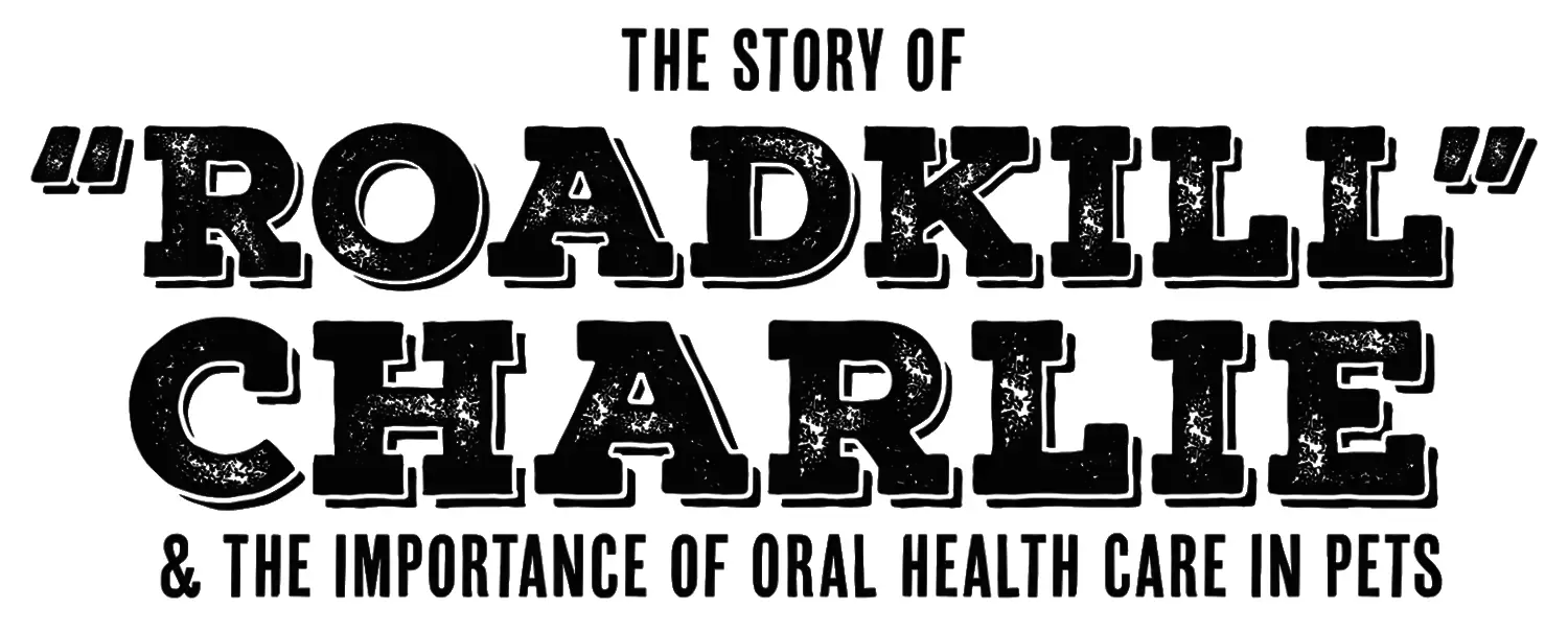 The Story of Roadkill Charlie & the Importance of Oral Health Care in Pets