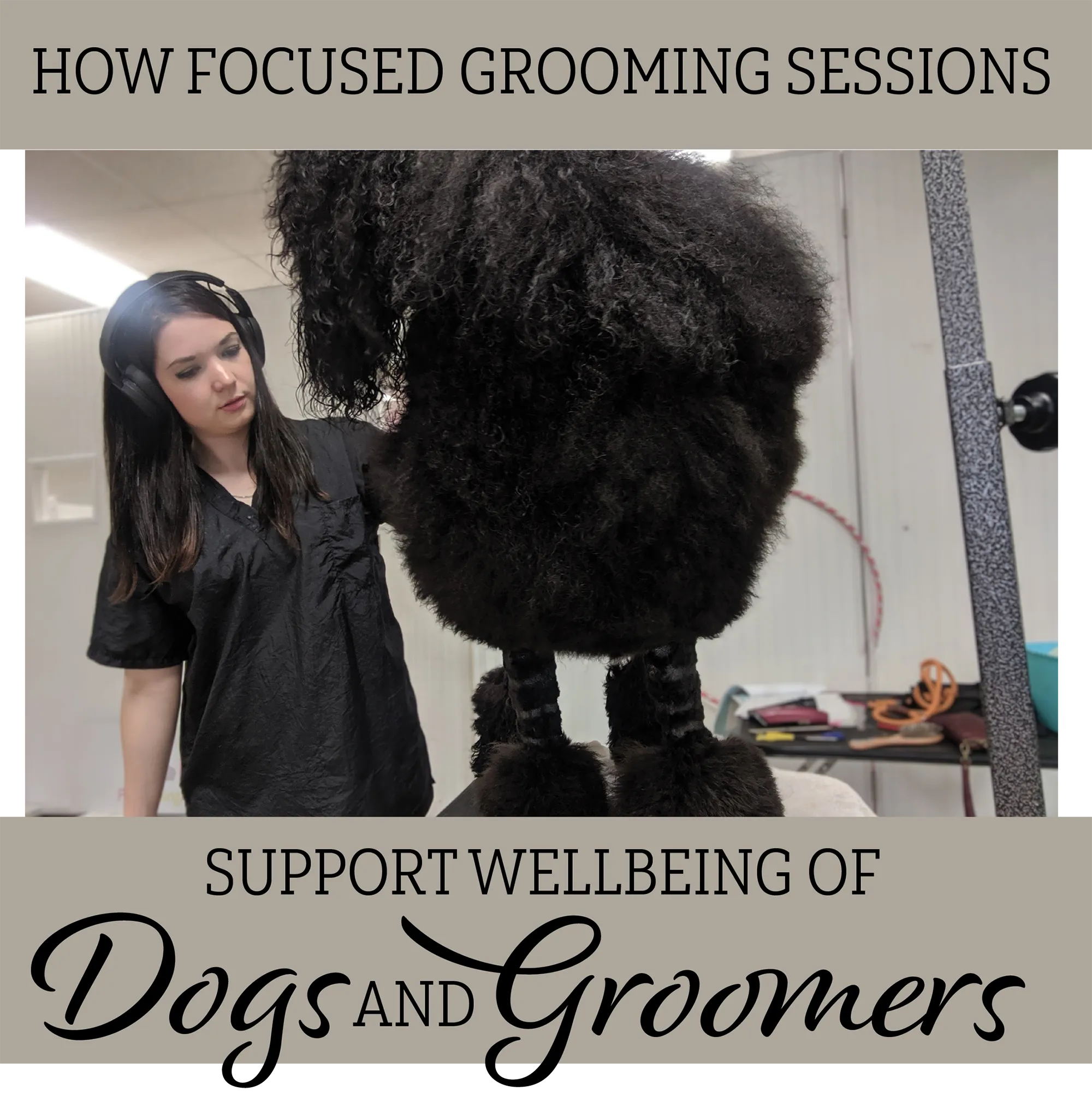 A woman wearing headphones and a black grooming smock is grooming a large, fluffy black dog on a grooming table. The text above the image reads, "How Focused Grooming Sessions," and below it says, "Support Wellbeing of Dogs and Groomers."