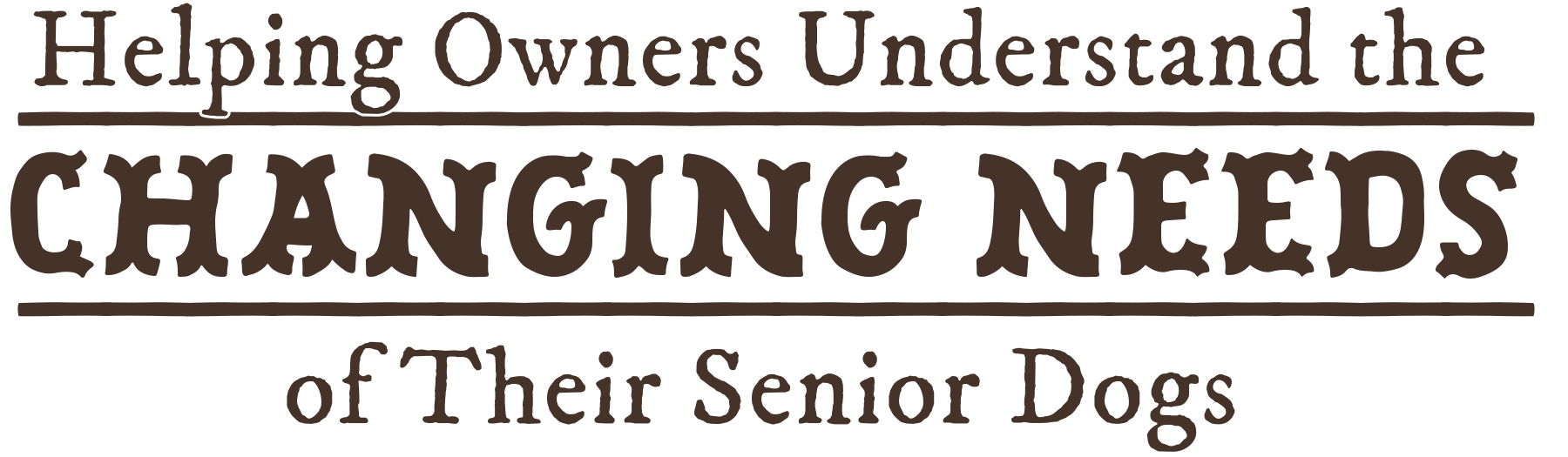 Helping Owners Understand the Changing Needs of Their Senior Dogs