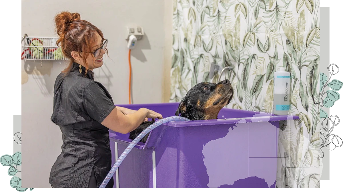 woman giving a dog a bath in a purple tub