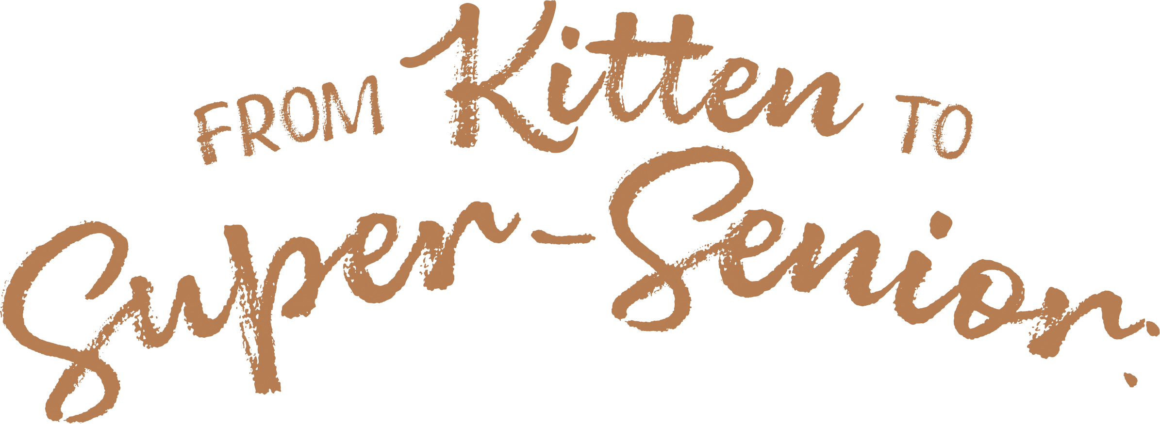 From Kitten to Super-Senior
