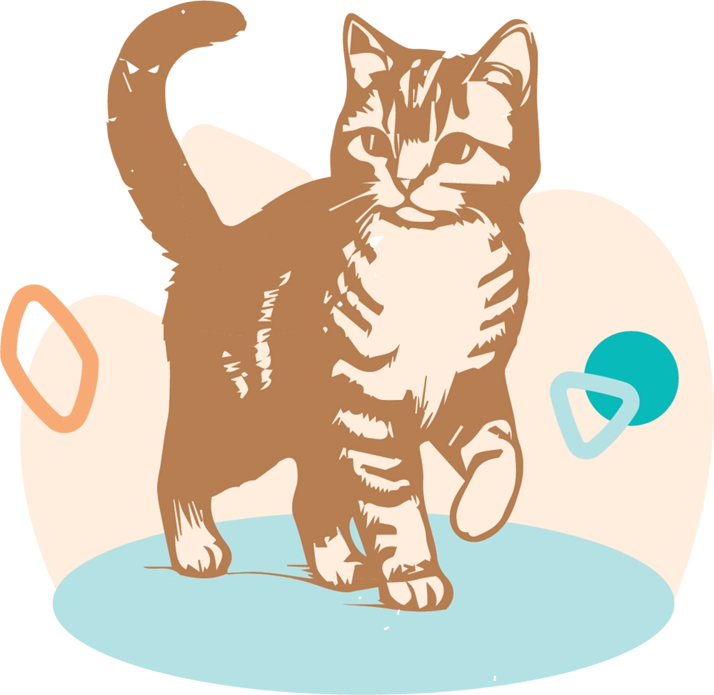 Illustrated brown and white cat on a blue oval with abstract geometric shapes.
