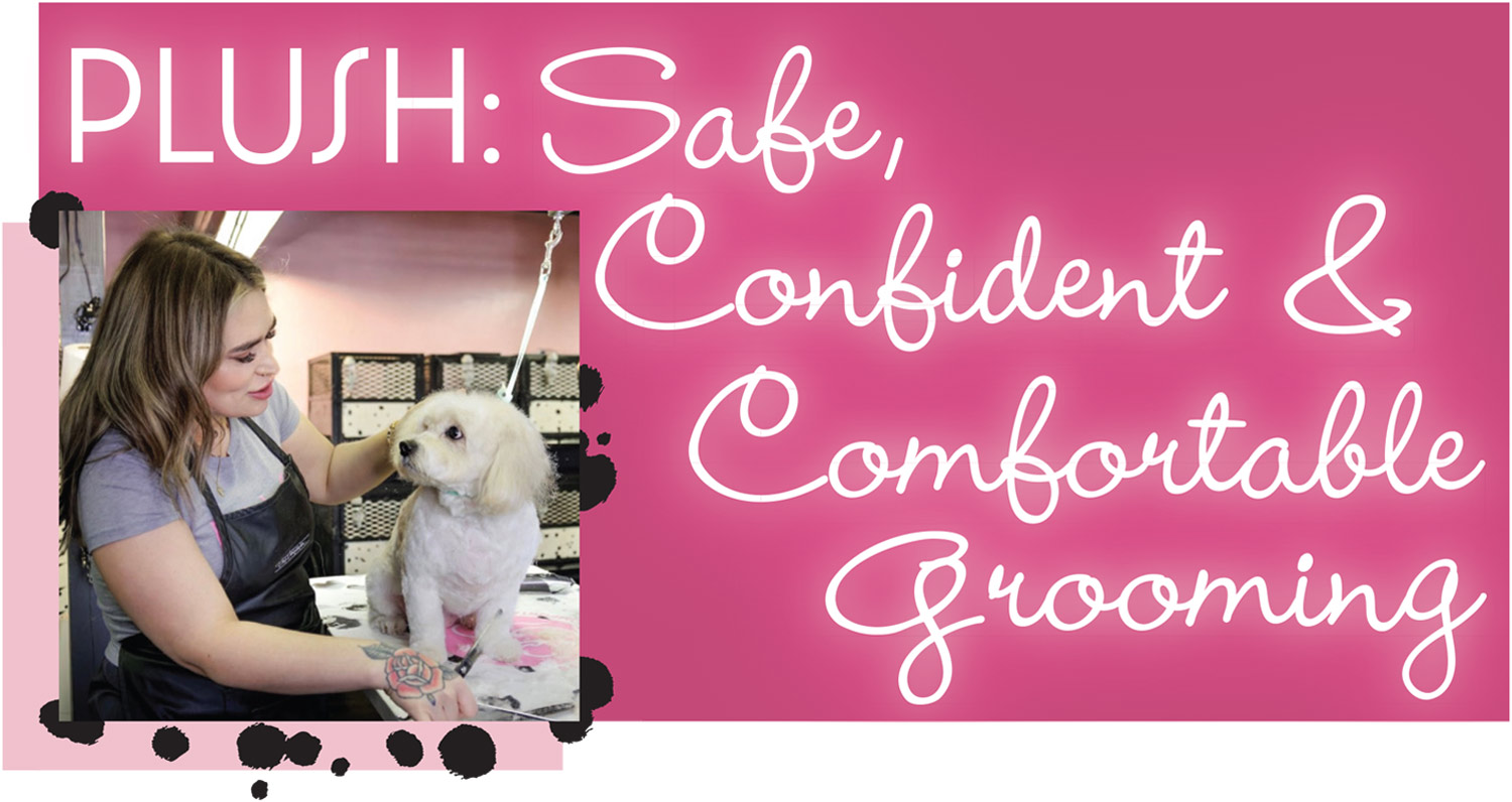 Plush: Safe, Confident & Comfortable Grooming article imagery and typography