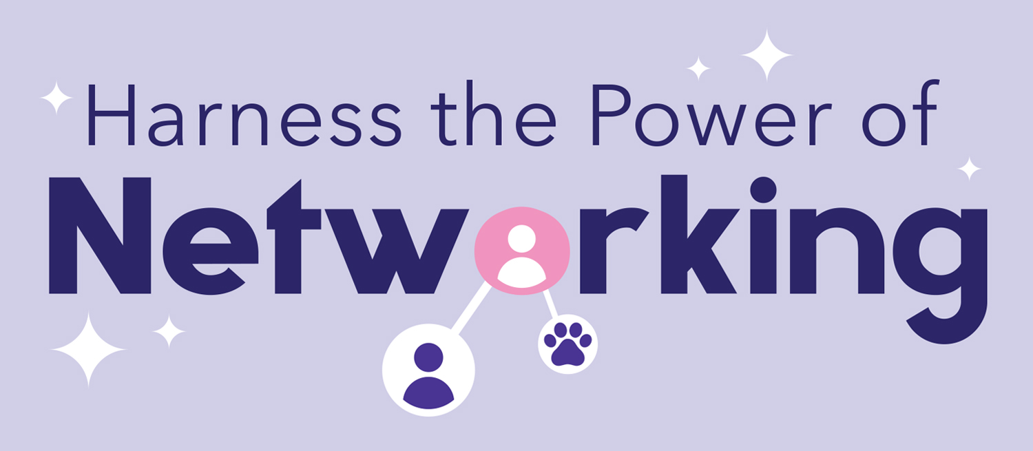 Harness the Power of Networking article typography