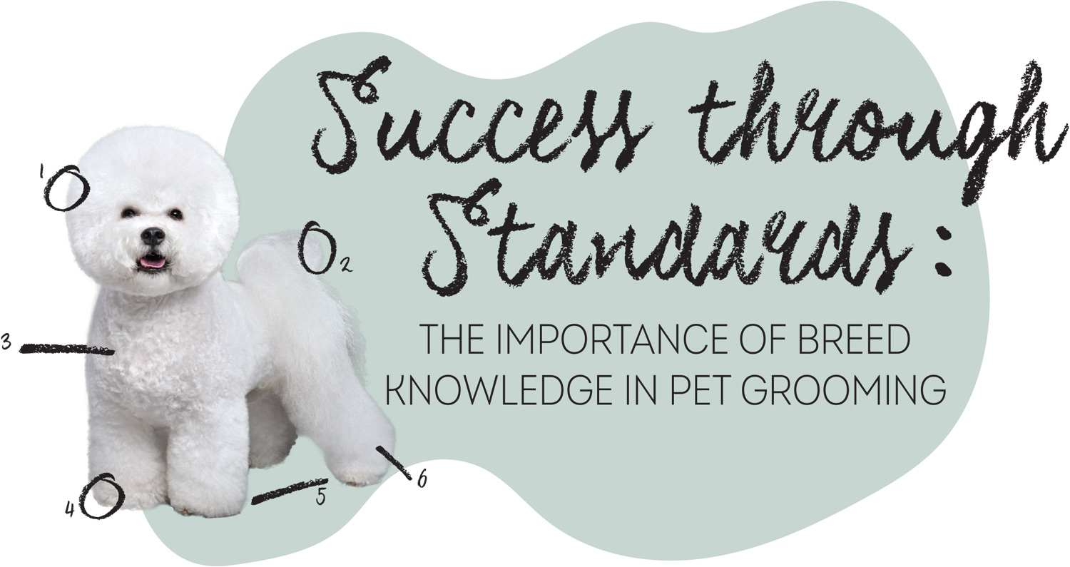 Sucess Through Standards: The Importance of Breed Knowledge in Pet Grooming article imagery and typography