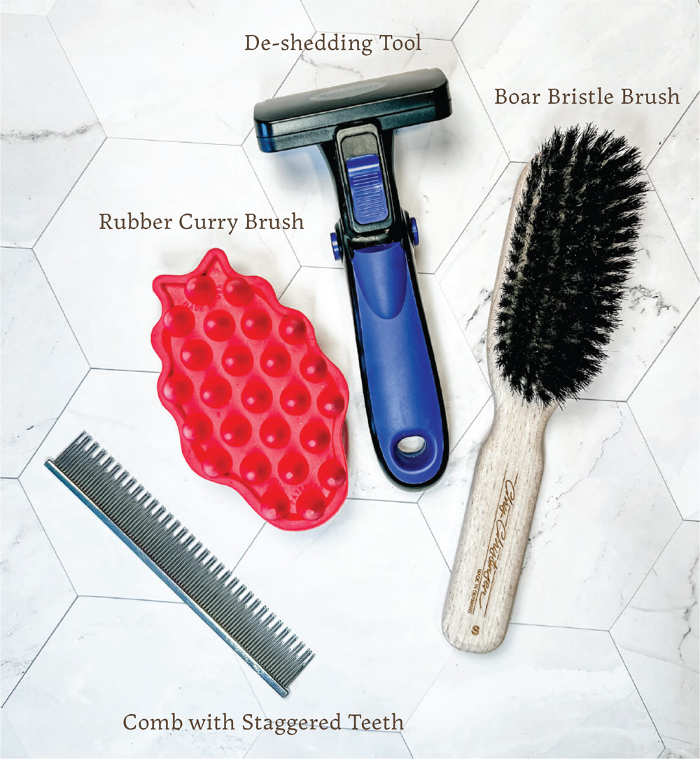 cat grooming tools including a de-shedding tool, a rubber curry brush, a comb with staggered teeth and a boar bristle brush