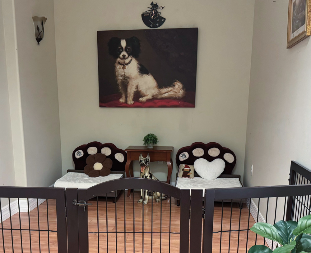A pet nook with paw-shaped chairs, a dog portrait, and plush cushions.
