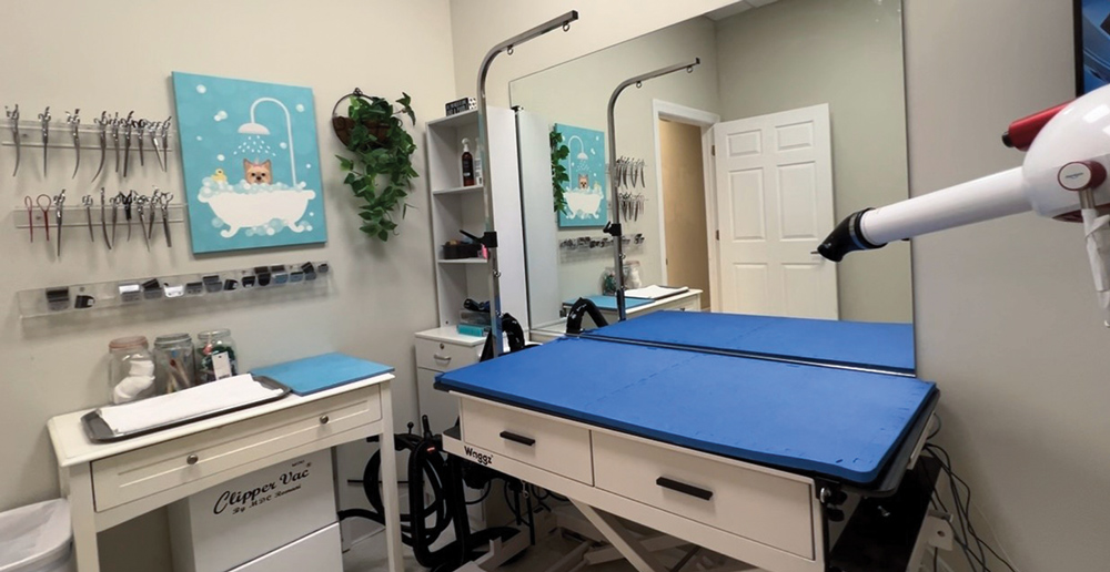 Pet grooming salon with grooming table, tools on racks, a cat painting, and dryer.
