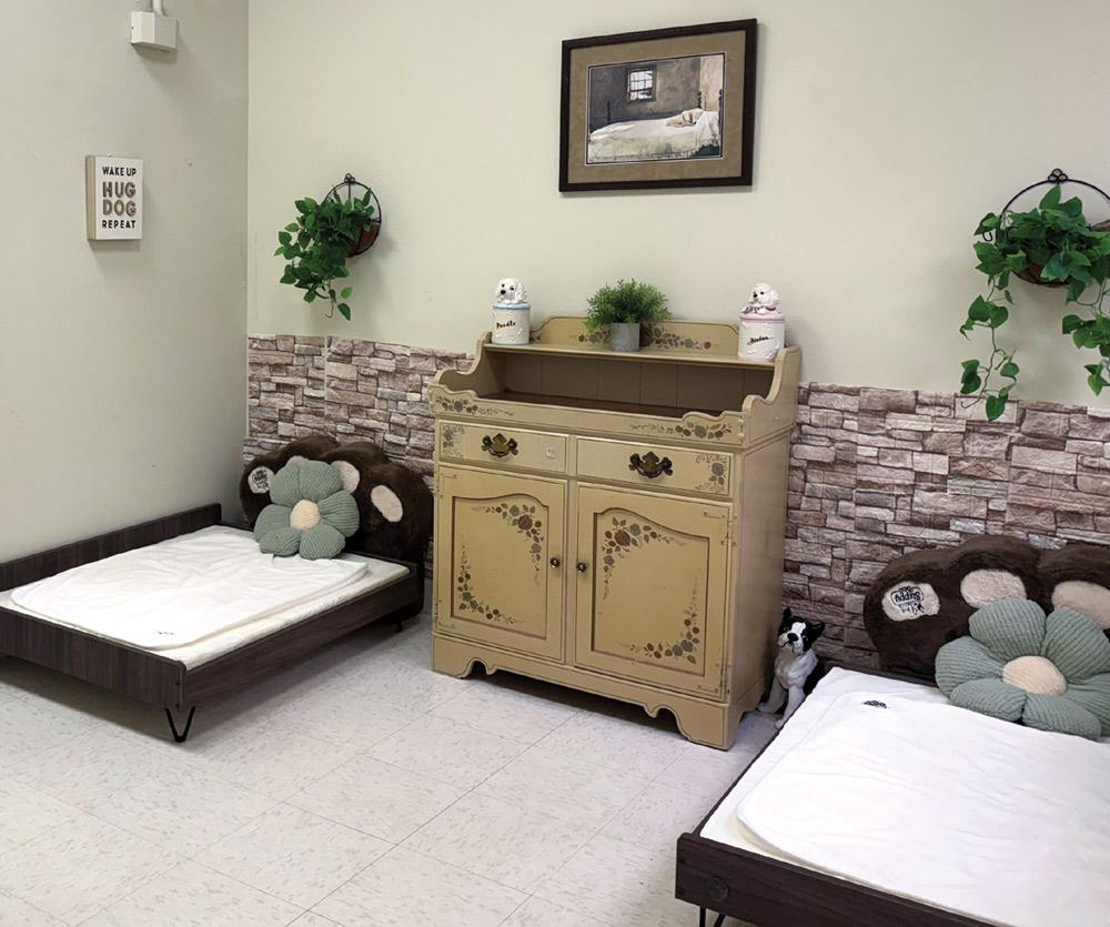 A room with two small beds, a vintage cabinet in the center, and decorative elements like plant holders and plush pillows.