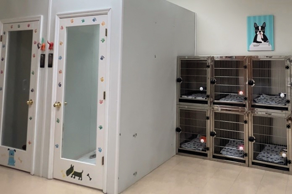 Indoor pet boarding facility with mirrored doors and stainless steel cages.
