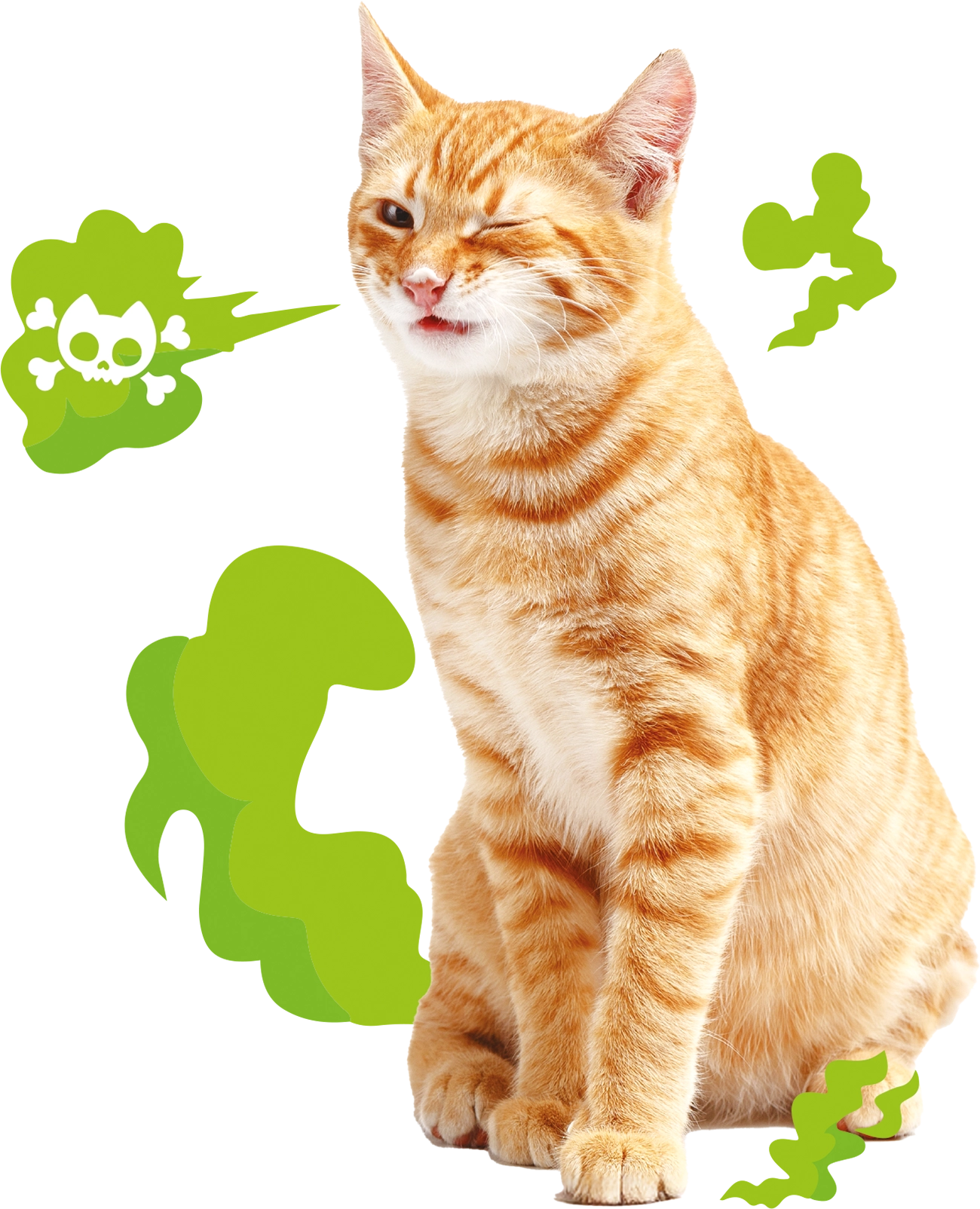 An orange tabby cat is shown winking, with its mouth slightly open as if reacting to an unpleasant smell. Green, cloud-like shapes, some with skull and crossbones symbols, emanate around it, suggesting bad odors.
