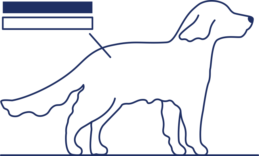 vector outline of a dog with a line and two boxes pointing to its back