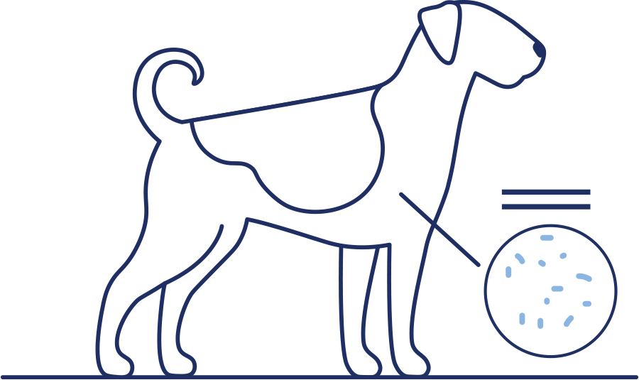 vector outline of a dog with its chest labelled with a circle and small dots