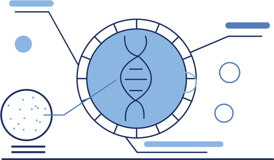 vector illustration of dna with arrows pointing around it