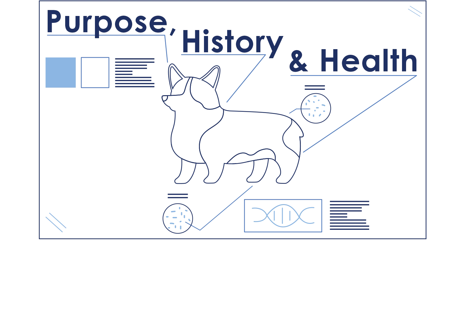 vector illustration of a poster with Purpose, History & Health written on it and an outline of a labelled corgi